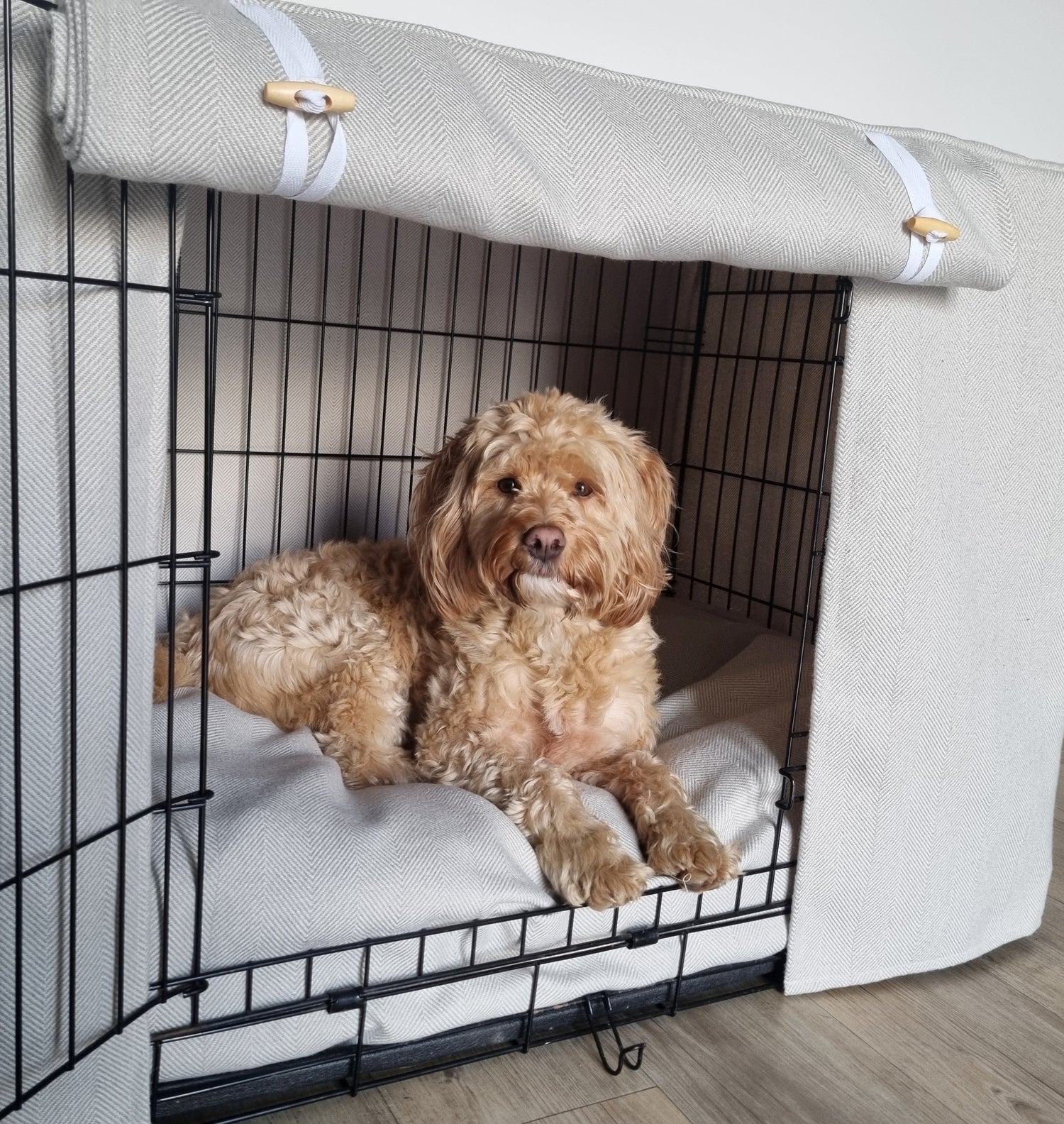 Bespoke Comfort for Your Dog